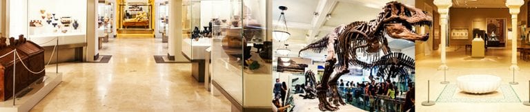 Museum-Files-and-Library